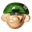 SUPER MARIO MASK LUIGI ADULT