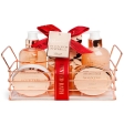 IDC INSTITUTE SET BAIN BRONZE 6PCS