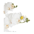 Orchidée Artificielle Dans Pot