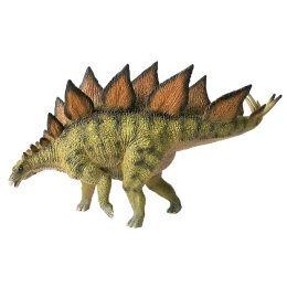 Stegosaurus Museum Line