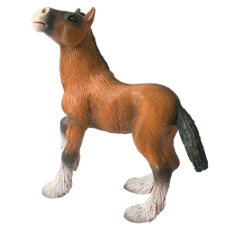 Poulain Shire Horse