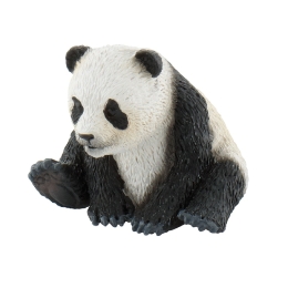 Jeune panda