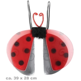 aile coccinelle