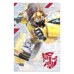 Puzzle mini Transformers