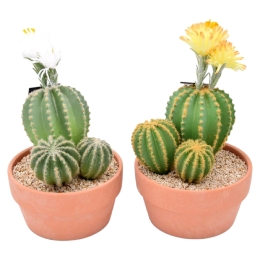 Cactus Artificielle 37 Cm
