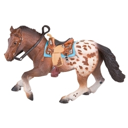 Appaloosa M�le