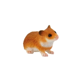 Hamster