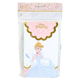 6 Party Bags Princesse carton