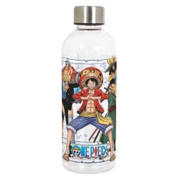 ONE PIECE HYDRO BOTTLE CLASSICS