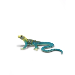 Iguane à collier