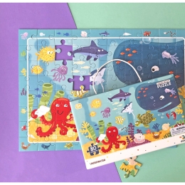 Observation Puzzle Underwater