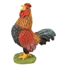 Coq