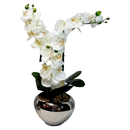 Vase Orchid�e Artificielle 2Ass