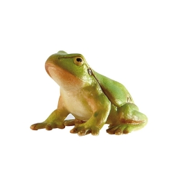 Grenouille agile