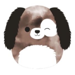 SQCR -  Squishmallows 30cm Zerdan