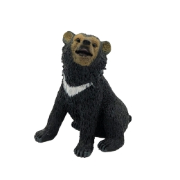 Jeune ours à collier